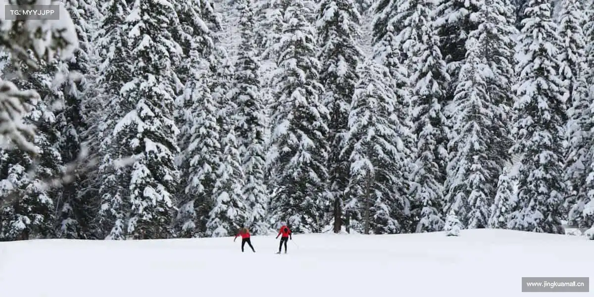 南宫NG28无论是一个人的自律，还是一群人的狂欢，运动从不让人孤单！👥🏊♂️
