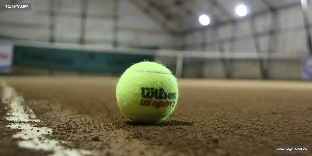 为什么选择我们